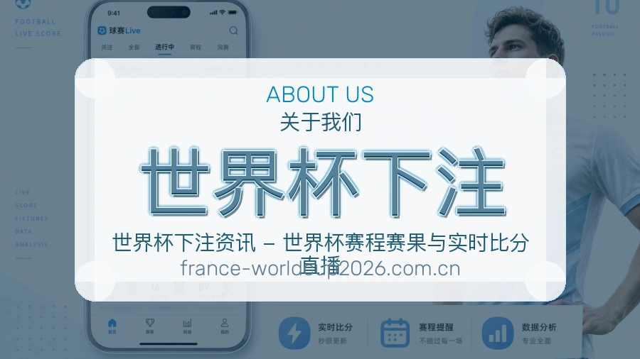 世界杯下注服务平台简介